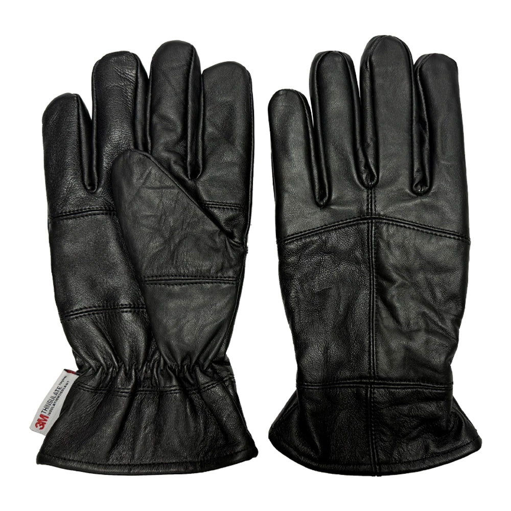 Darwin Men's Gloves