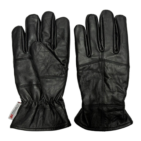 Darwin Men's Gloves