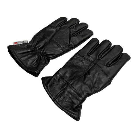 Darwin Men's Gloves